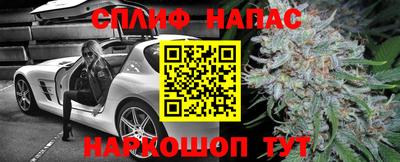 дживик Жуковский